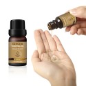 Natural Ginger Essential Oil for Massage Diffuser Hair Skin Body 10ml Natural Ginger Essential Oil for Massage Diffuser Hair Skin Body 10ml