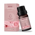 Natural Rose Essential Oil for Diffuser, Perfume, Massage, Aroma, Bath Natural Rose Essential Oil for Diffuser, Perfume, Massage, Aroma, Bath