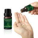 Organic Wormwood Essential Oil Moisturize and Brighten Skin 10ml Organic Wormwood Essential Oil Moisturize and Brighten Skin 10ml