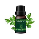 Organic Wormwood Essential Oil Moisturize and Brighten Skin 10ml Organic Wormwood Essential Oil Moisturize and Brighten Skin 10ml