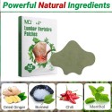 Mugwort Lumbar Vertebra Patches Deep Hot Soothing Pain Relief Patch Mugwort Lumbar Vertebra Patches Deep Hot Soothing Pain Relief Patch